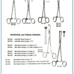  Judd Allis Tissue Forceps