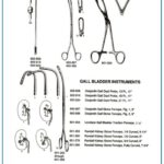 Desjardin Lovelace Gall Randall Kidney