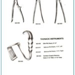 Stille Bethune Rib Shears