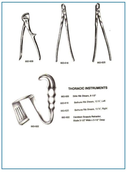 Stille Bethune Rib Shears