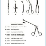 Takahashi Nasal Forceps | Asch Septum Straightening Forceps