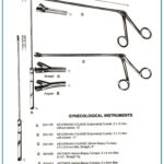 WITTNER Uterine Biopsy Forceps | Kevorkian-Younge Endometrial Curette