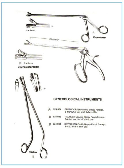 Eppendorfer biopsy forceps | Tischler cervical biopsy punch forceps