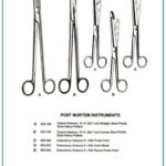 Dubois Enterotomy Scissors