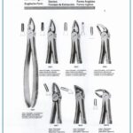 Extracting Forceps-English Pattern