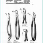 Extracting Forceps-English Pattern