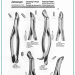 Extracting Forceps-American Pattern