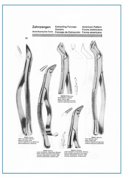 Extracting Forceps-American Pattern