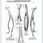 Dental Extracting Forceps for Upper Incisors Canines