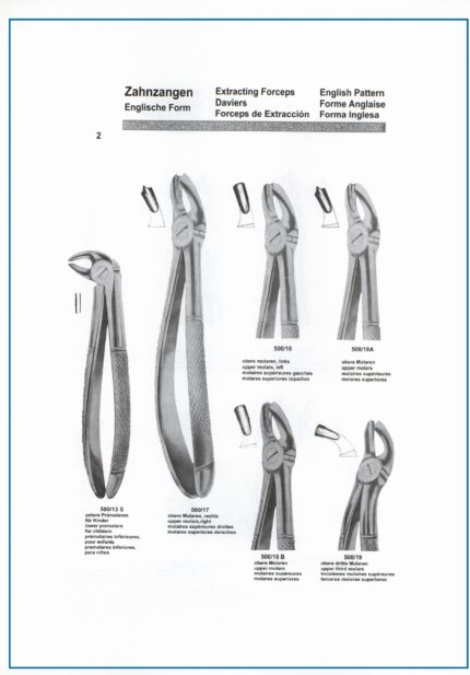 Extraction Forceps English Pattern