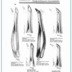Children’s Dental Extracting Forceps