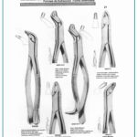 Extracting Forceps for Upper Centrals Canines