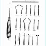 Seldin Root Elevator