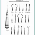 Apical Root elevator