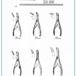 Bone Rongeur Blumenthal Hartmann