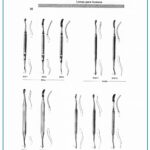 Bone Files Seldin Miller