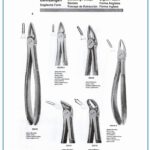 Tooth Extraction Forceps