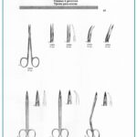 Gum Scissors Neumann Quinby