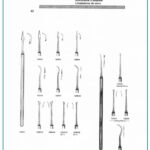 Darby Perry Scaler Single Ended
