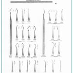 Younger Good Abbott Scharmann