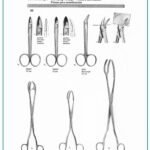 crown scissors
