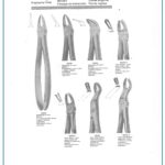Separating Molar Extracting Forceps