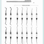 Dental English Pattern Excavators