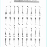 Wax, Porcelain, And Modeling Carvers