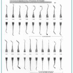 Wax, Porcelain, And Modeling Carvers