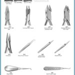 Direct Bond Bracket Holder