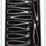 Dental Extraction Forceps