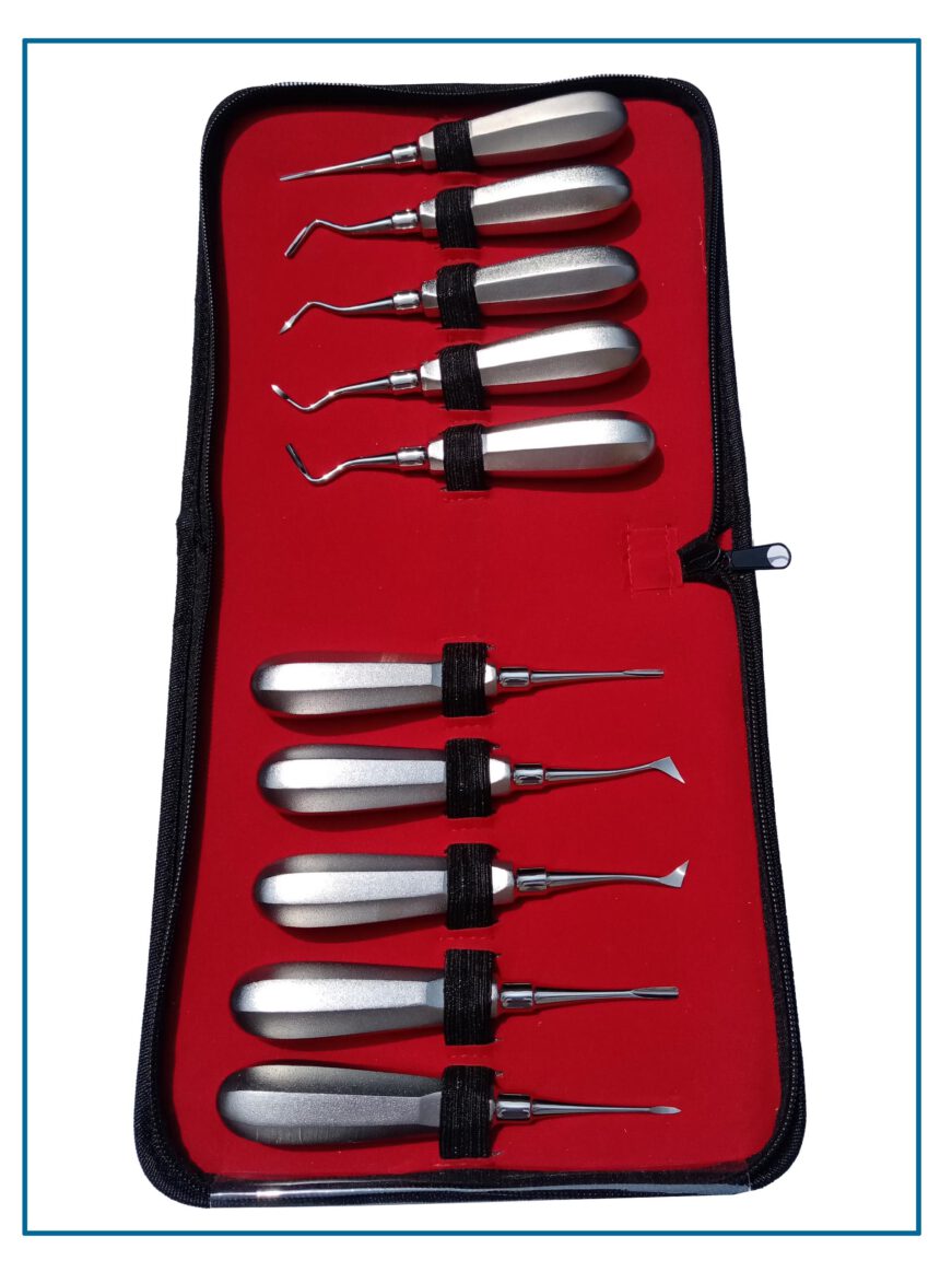 Dental Elevator Hamsan Surgical Instruments , Worldwide Shipping