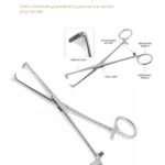 Allis Tissue Forcep