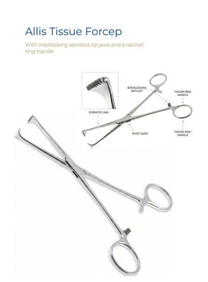 Allis Tissue Forcep