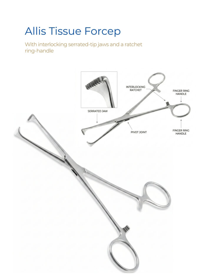 Allis Tissue Forcep