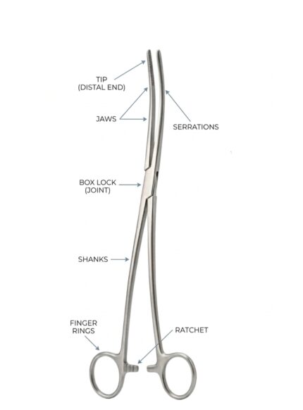 Bozeman Uterine Dressing Forceps, Curved 10 (25 cm)