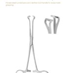 Babcock Forceps for Tissue Grasping