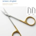 Converse Graefe Nasal Scissor