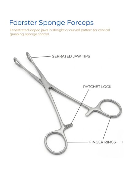 Foerster Sponge Forceps