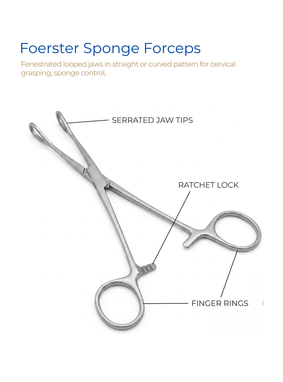 Foerster Sponge Forceps
