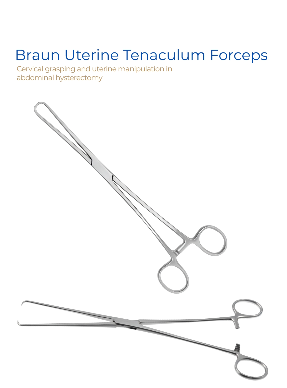 Tenaculum Forceps Schroeder-Braun