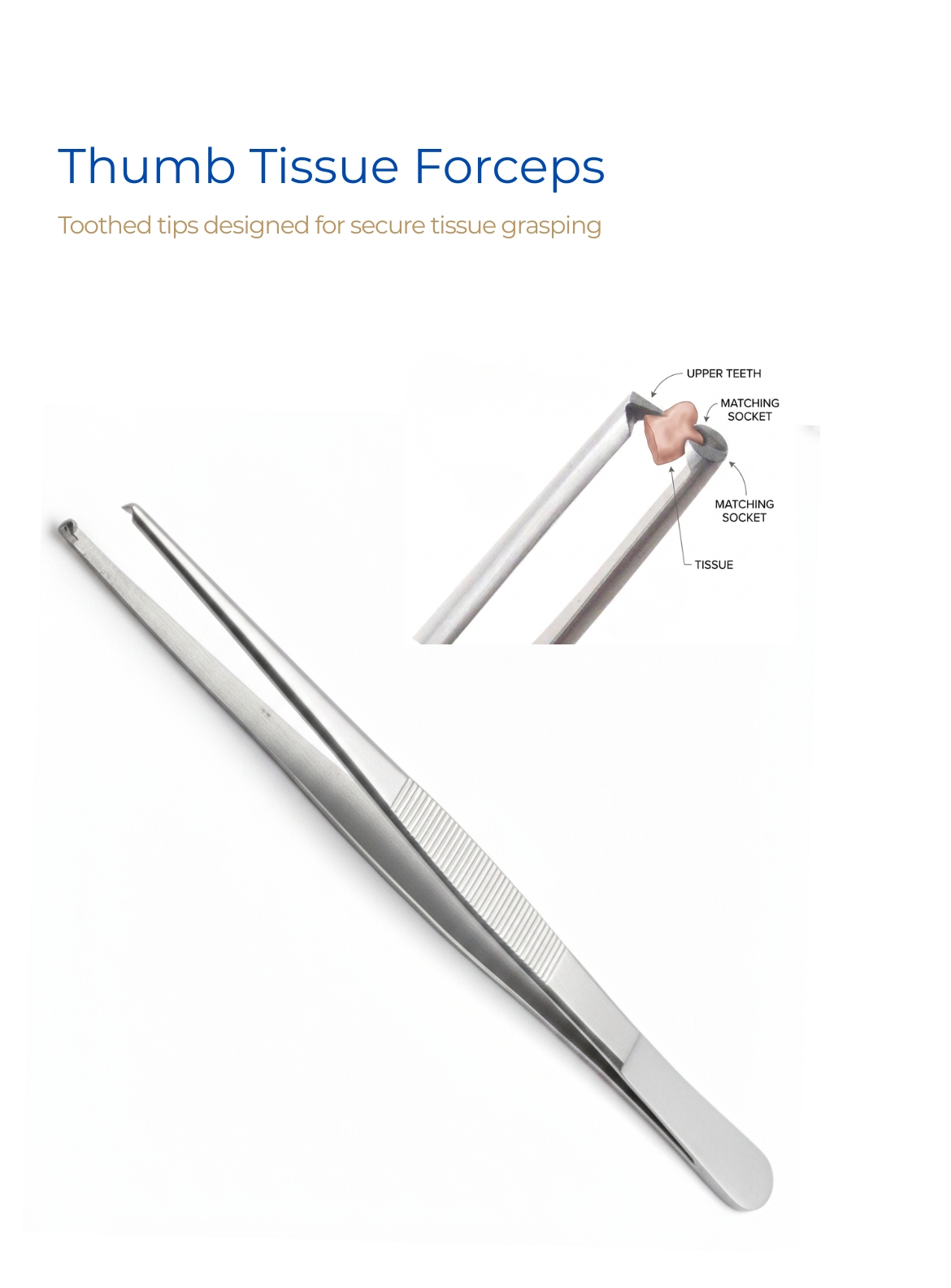 Thumb Tissue Forceps