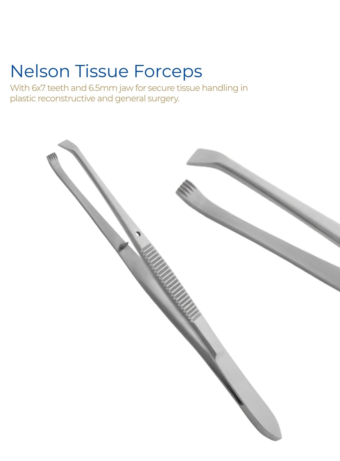 Nelson Tissue Forceps 6x7 Teeth